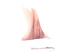 Babenka suck cock Russian people at the table hd adult movies